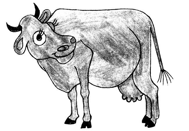 Корова урок 5 класс. Корова рисунок. Корова детский рисунок. Корова рисунок карандашом. Теленок рисунок карандашом.