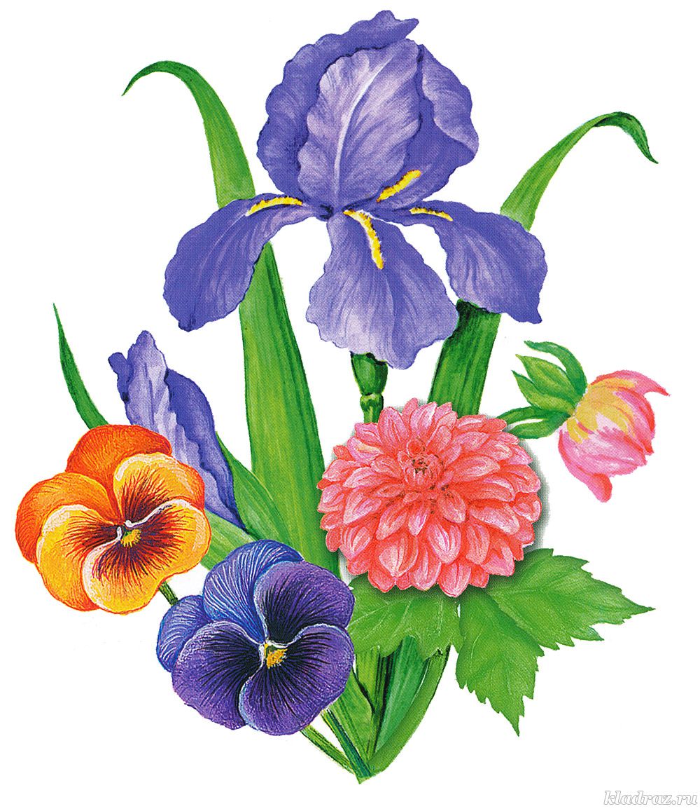 Рисунки цветов для детей цветные