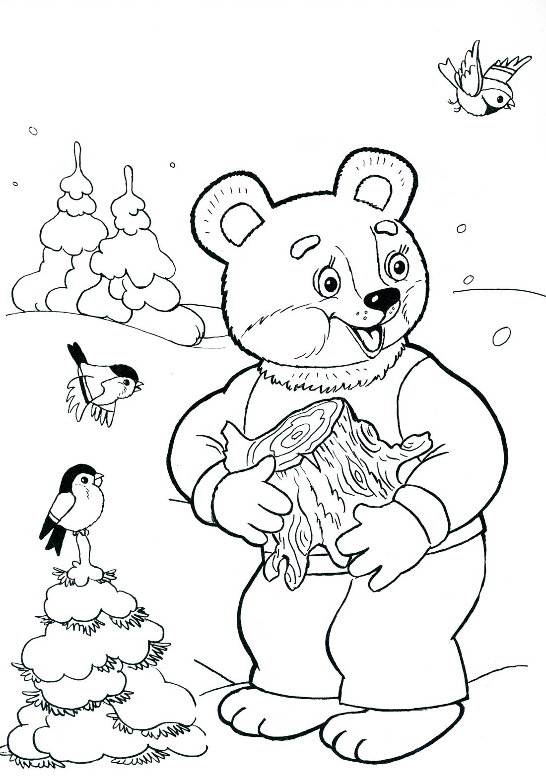 Описание медведя для ребенка 5 лет