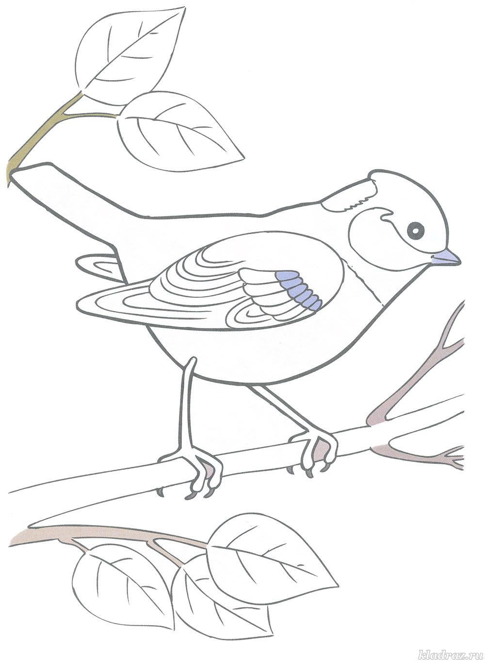 Зимующие птицы. Картинки, стихи и вопросы к мероприятию Зимующие птицы и зимние кормушки.