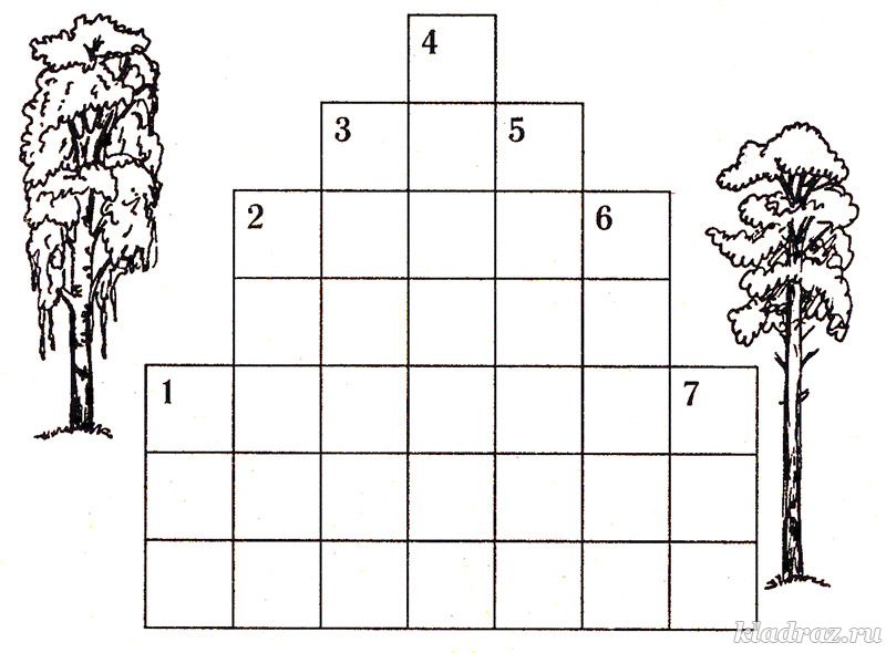 Тест кустики 4 класс с ответами. Кроссворд деревья. Кроссворд про деревья для детей. Кроссворд на тему деревья для детей. Кроссворд деревья и кустарники.