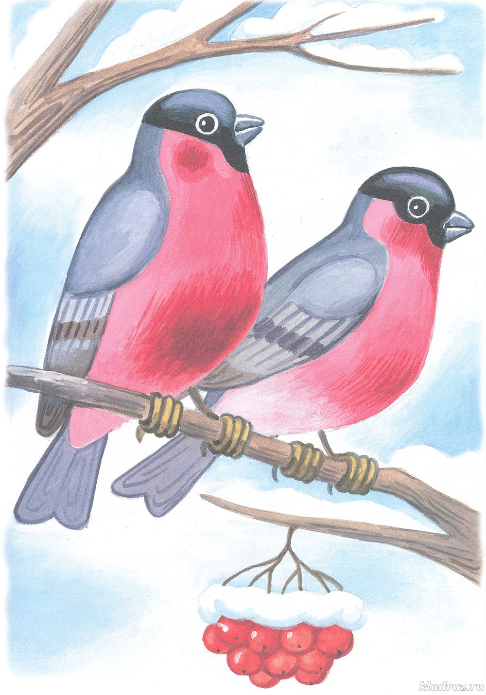 Рисование с детьми зимующие птицы