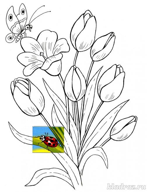 Букет тюльпанов. Раскраска для детей 5-8 лет