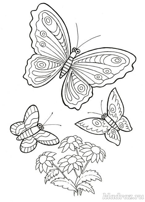 Раскраска бабочки для детей 6-8 лет