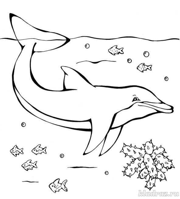 Раскраска для детей 5-7 лет. Дельфин