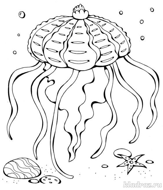 Раскраска для детей 5-7 лет. Медуза