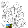 Букет тюльпанов. Раскраска для детей 5-8 лет
