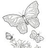 Бабочки и цветы. Раскраски для детей 6-8 лет