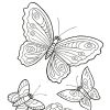 Раскраска бабочки для детей 6-8 лет