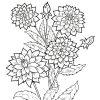 Цветы георгины. Раскраска для детей 6-8 лет