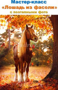 Мастер-класс «Лошадь из фасоли» с поэтапными фото
