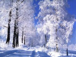 Авторские стихи о зимнем времени года