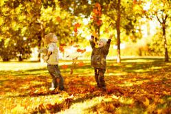 Аппликация из осенних листьев «Зайчик - Листопадничек» для детей 5 – 6 лет. Мастер-класс с пошаговыми фото