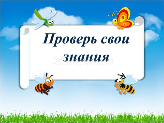 Викторины про лета. Летняя викторина. Летняя викторина для детей. Викторина о лете для детей начальной школы. Викторина про лето для детей с ответами.