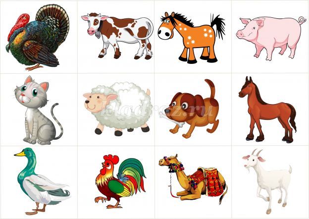 Картинки домашних животных для детей цветные красивые для печати